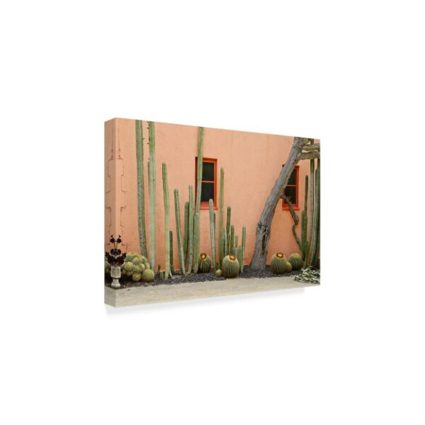 American School 'Adobe Cactus2' Canvas Art,16x24